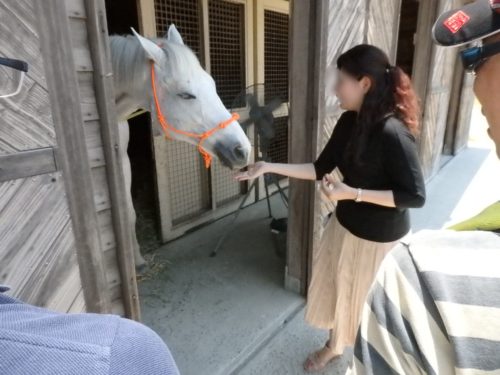 135650E0-5E16-4264-8302-F50ECD515377