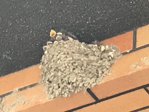 1140EF24-CAB6-4F4D-9C12-256C798F9853