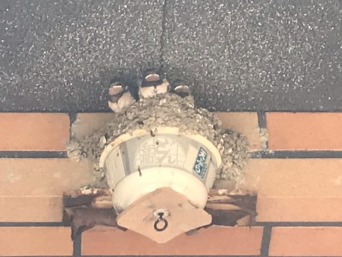 3473C3FC-EDA0-4F58-9BD3-39DE600F2F6B