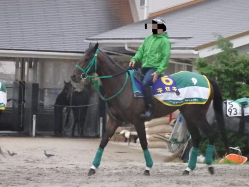 36E1B067-DD3B-4347-963B-BB40AFBC9081