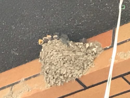 904D5442-AB21-441A-9376-51B8356263F2