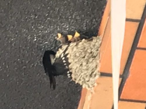 DB9420F2-5C64-4EC5-B7F8-6B4F96AE6936