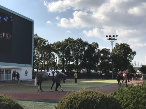 03826FC9-8798-4B8B-842A-D9169B59F3E0