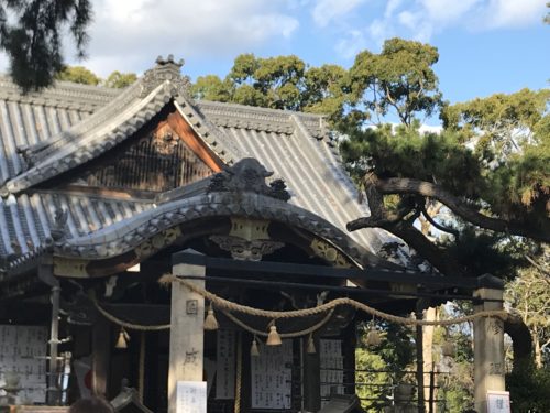 98BACBC2-5E54-455F-8D5A-19D56EEB205B