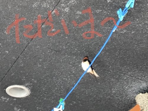 1E83396B-21A7-4CBD-B65B-6F2C9F60DF82