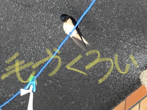 22B75685-0040-486D-964F-7417CBC3C263