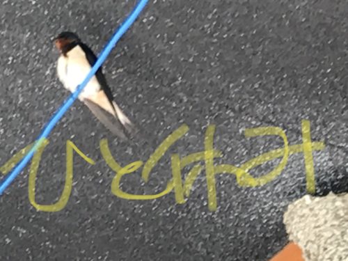 3A0AE928-F6E0-421E-BCD1-05D2C97A8AA3