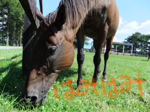 2F0AF5C8-9FC3-4E86-B140-D78339A98A83