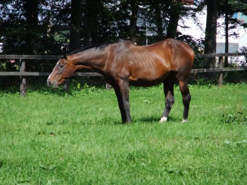 32B32C7A-1CCF-4EE6-A282-92E0201B6EA1