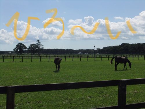 3B826D89-FCAF-4464-8A6A-3272973A4931