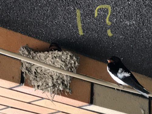 61CFC855-454C-4CB9-BE6A-BD92854222C9