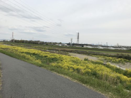 6C39FDA8-DEF4-4A16-B95A-AFA93930F52F