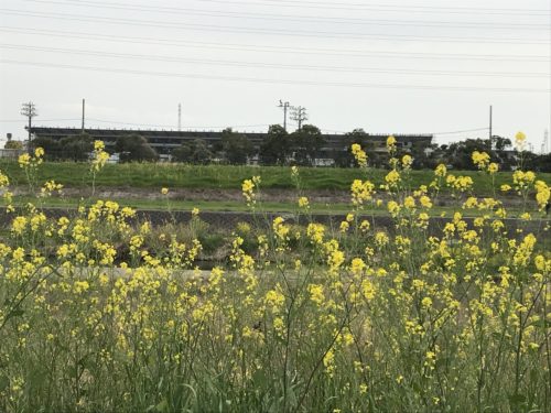 6D96E386-3BDD-4012-86E5-B21F33E1C457