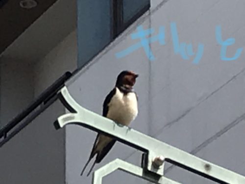 72A7BFD0-BCC0-49D7-9F8C-8FD27E538729