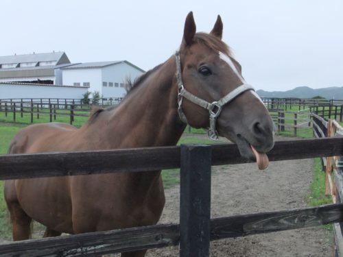 77AB7159-B76D-4FFC-AB08-4957F980B18C