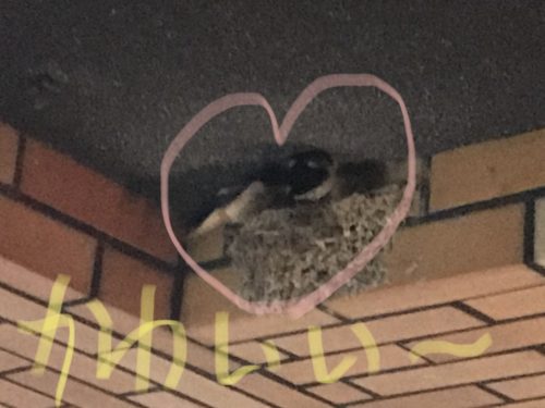 16606DEA-D037-47B7-BEB1-ACEC3953F465