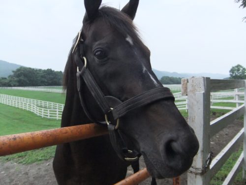 6EC02D32-E8D6-4209-A89F-749E73EA4ED8