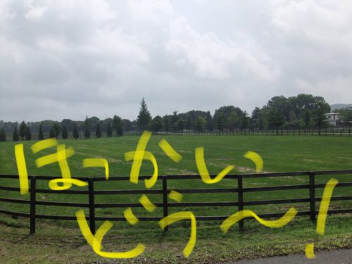 A4958D5B-4B26-42D1-BE7C-1CD8AD1B156C