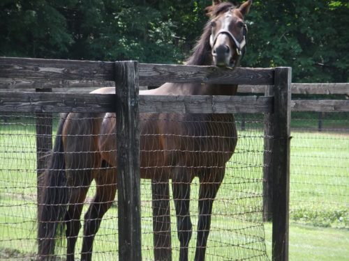 B5067CA9-6C04-4B71-9CFF-C37EAEECB350