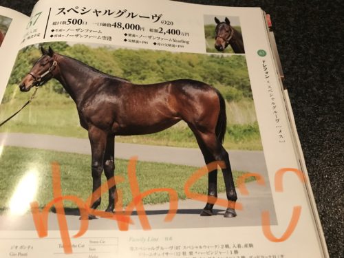 4C93ED9B-1507-4A8D-BAED-D0354B840191