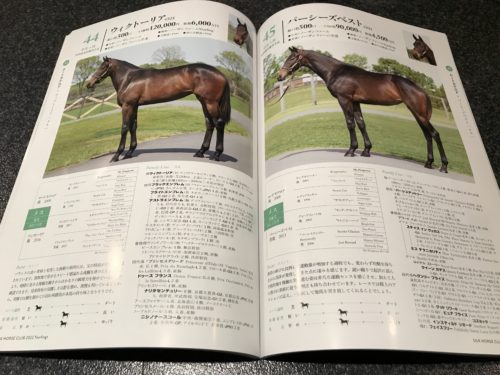 6C855C1B-1616-4047-A70E-4FEA4B114B07