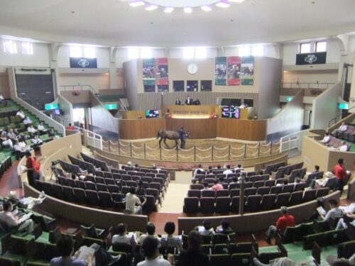 E3955A22-2426-4DB5-B7AC-7C4CD9BDF54C